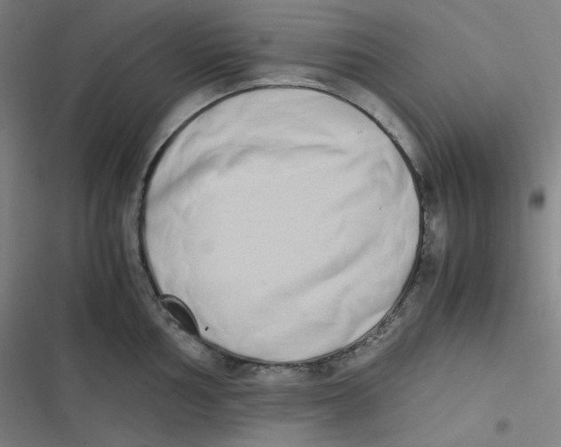 X0000116841002201001081455