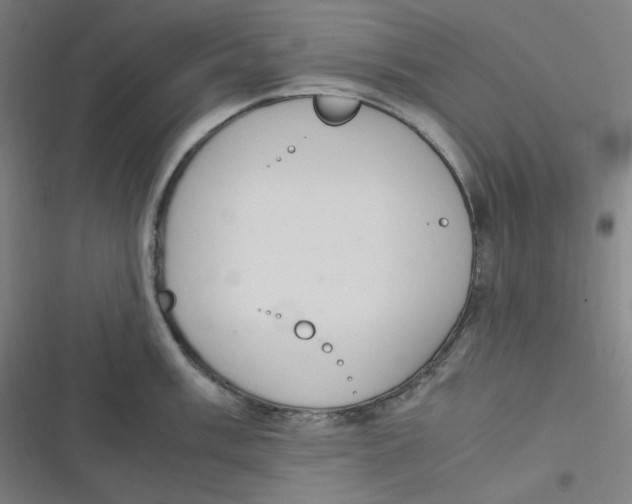 X0000116841003201001081455