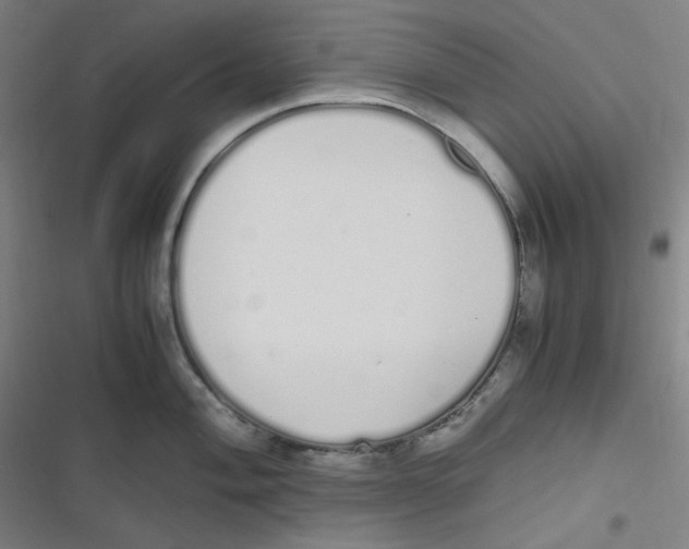 X0000116841004201001081455