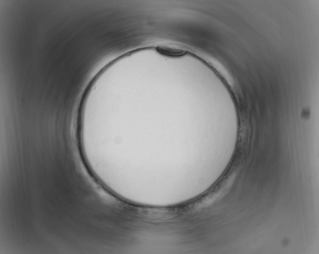 X0000116841007201001081455