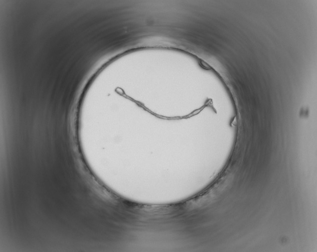 X0000116841008201001081454