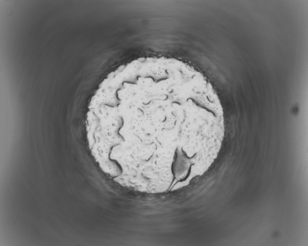 X0000116841009201001081454