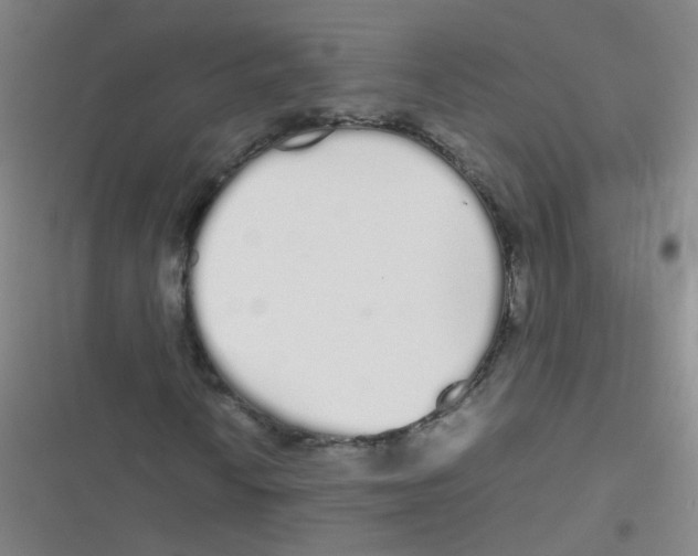 X0000116841010201001081454