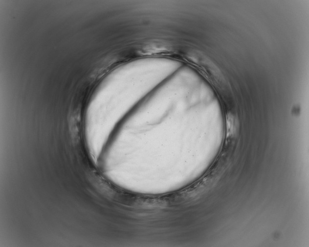 X0000116841011201001081454