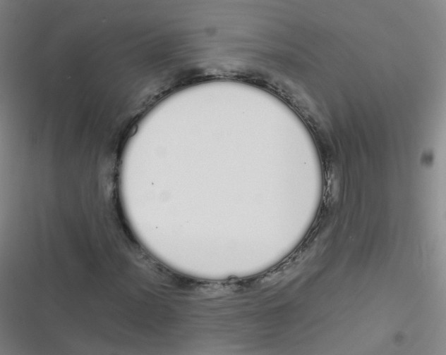 X0000116841012201001081454