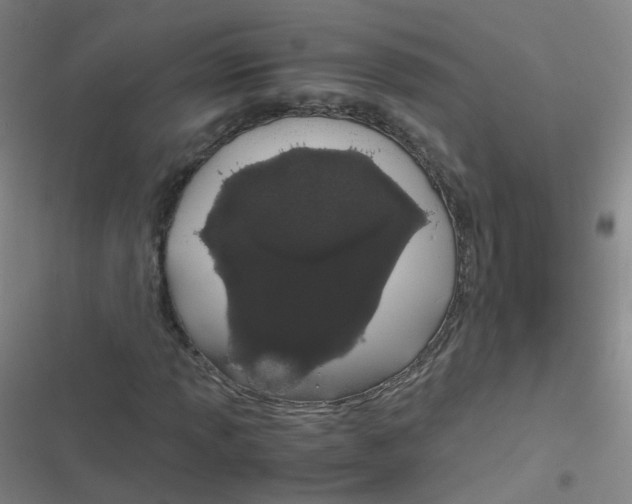 X0000116841013201001081454