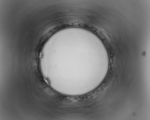 X0000116841015201001081454