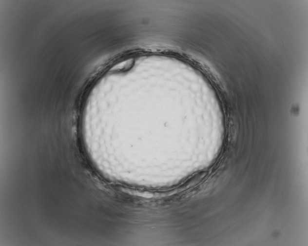 X0000116841016201001081454