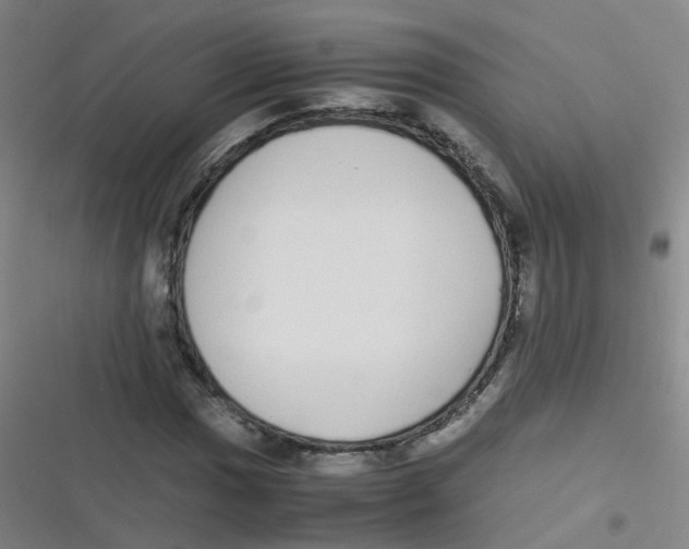 X0000116841017201001081454