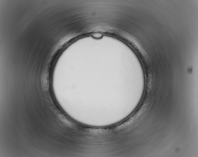 X0000116841018201001081454