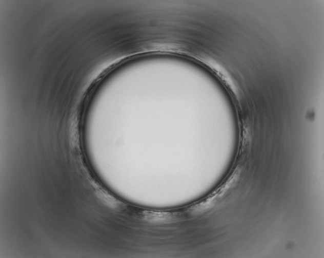 X0000116841019201001081454