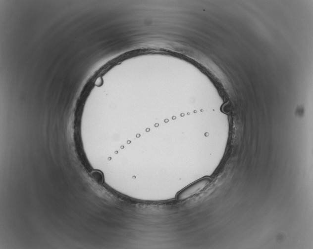 X0000116841020201001081454