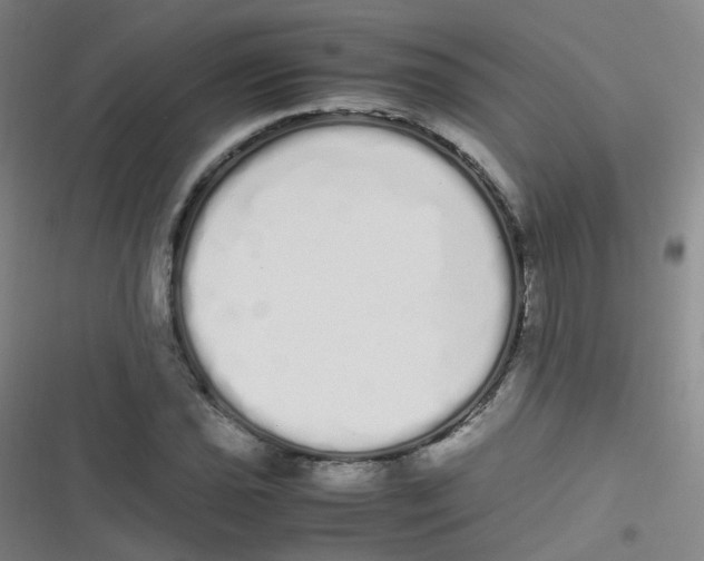 X0000116841021201001081454