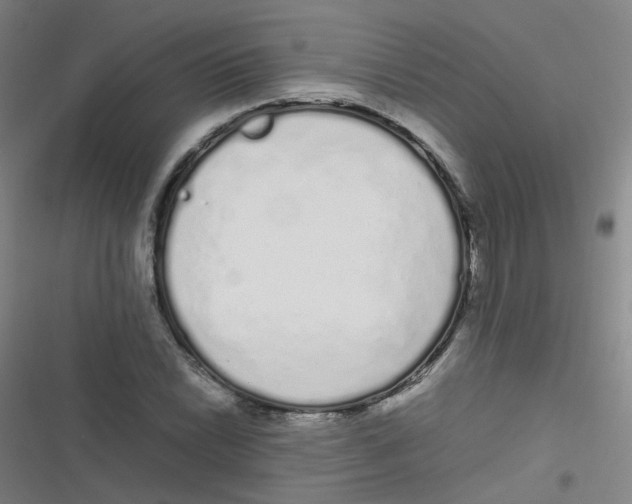 X0000116841022201001081454