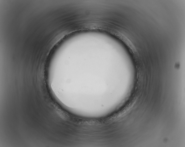 X0000116841023201001081454