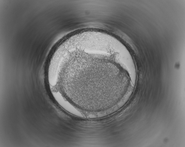 X0000116841024201001081454