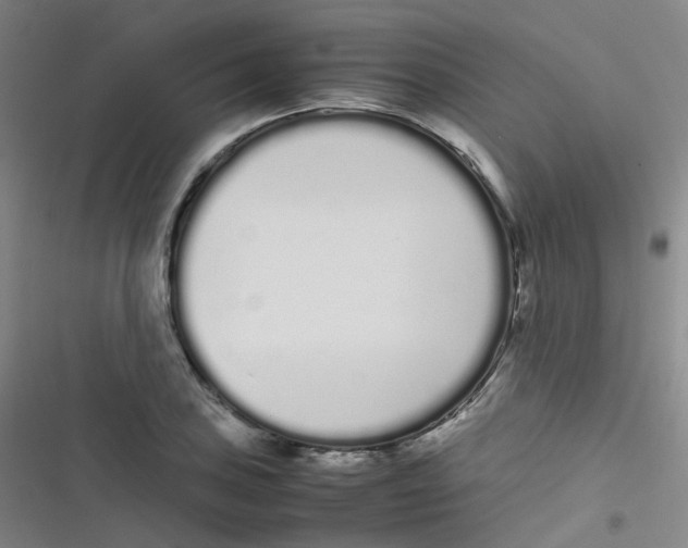 X0000116841027201001081454