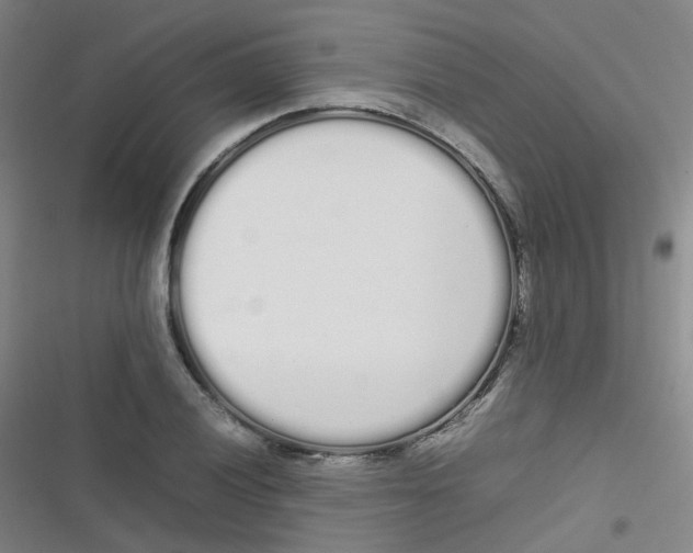 X0000116841028201001081454