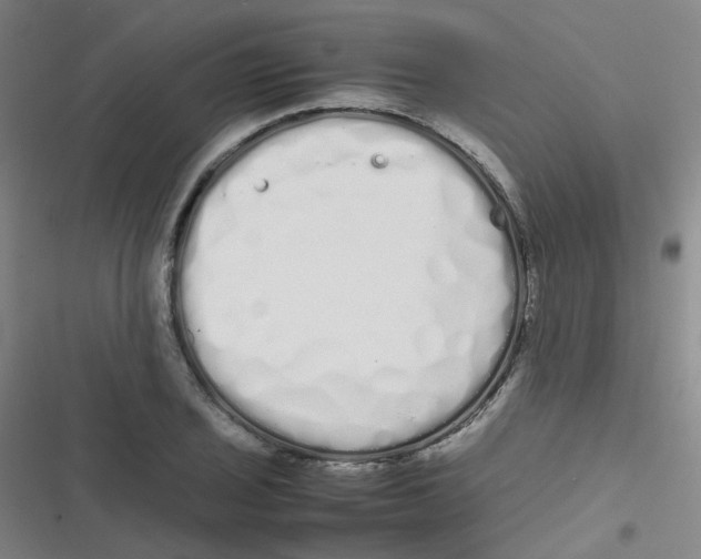 X0000116841029201001081454