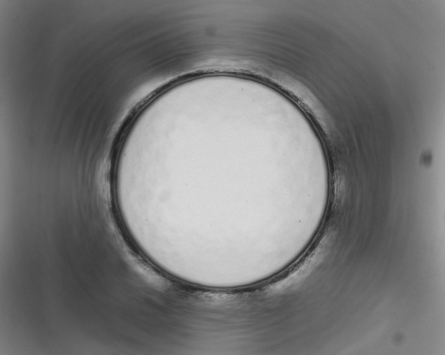 X0000116841030201001081454