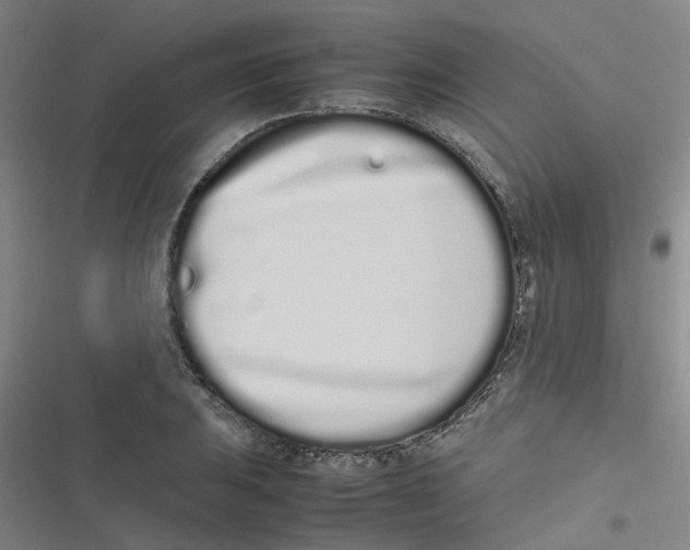 X0000116841031201001081454