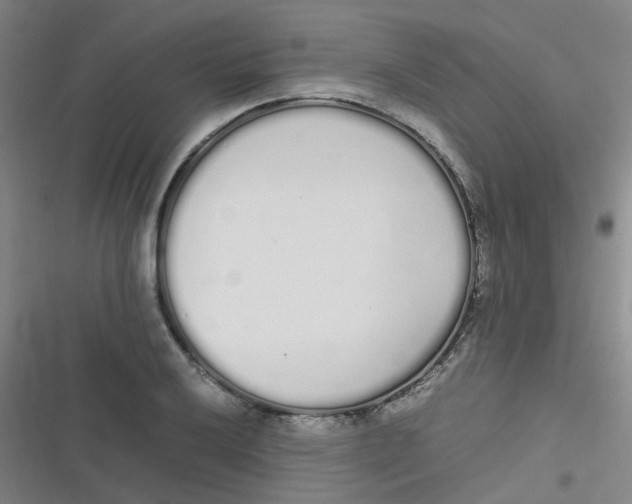 X0000116841032201001081454