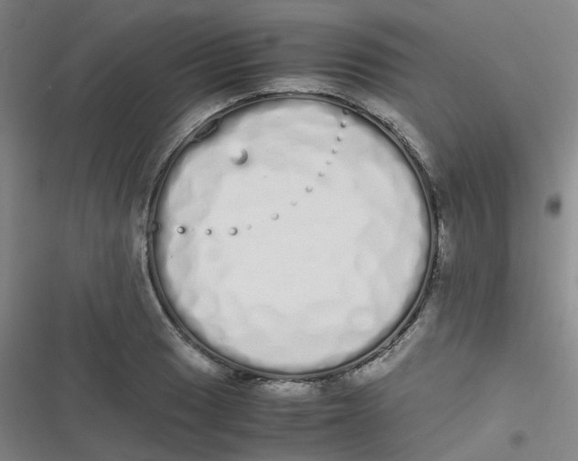 X0000116841033201001081454