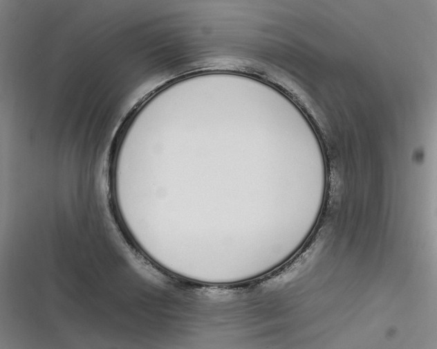 X0000116841034201001081454