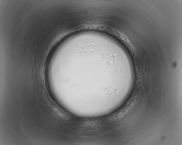 X0000116841035201001081454