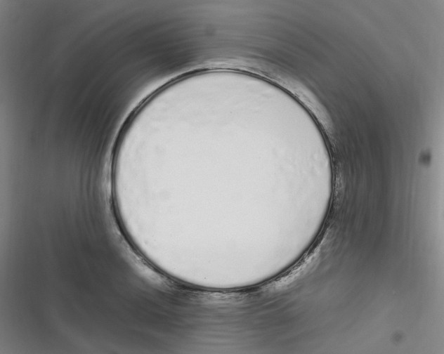 X0000116841036201001081454