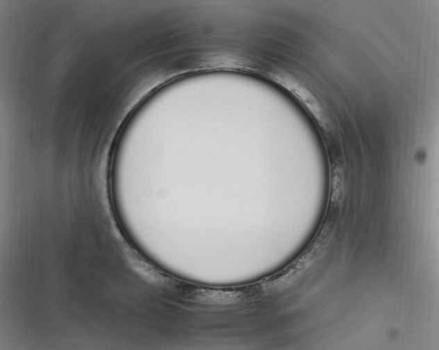 X0000116841039201001081454