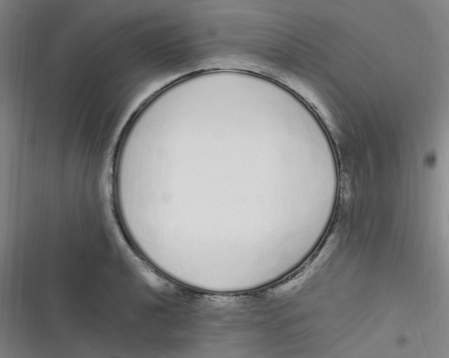 X0000116841040201001081454