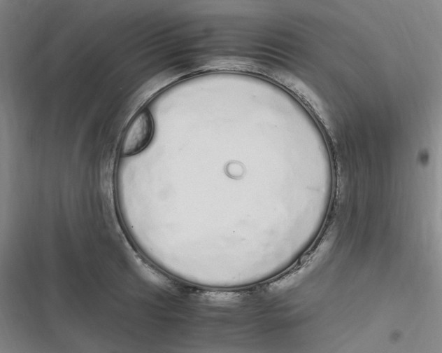 X0000116841041201001081454