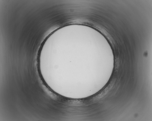 X0000116841042201001081454