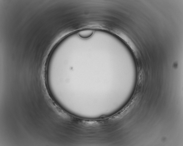 X0000116841043201001081454