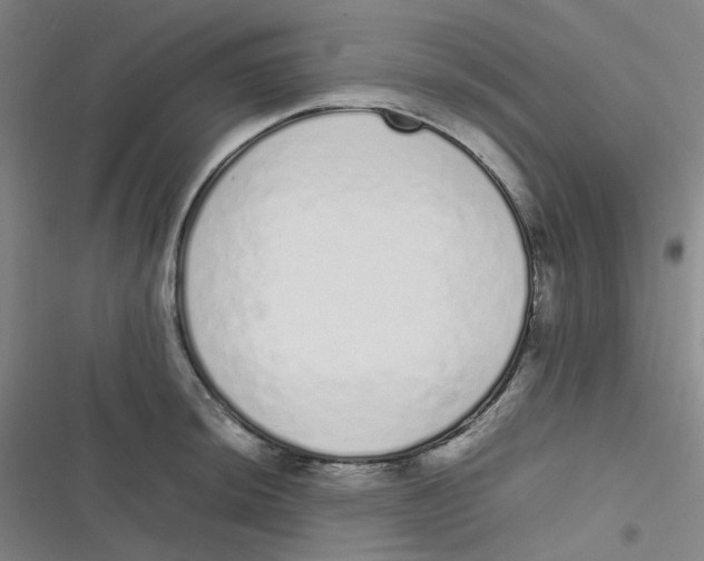 X0000116841044201001081454