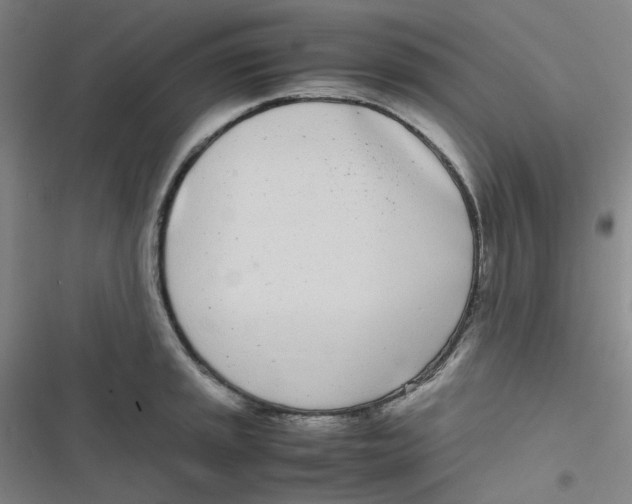 X0000116841045201001081454