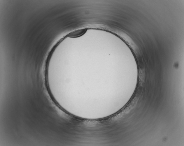 X0000116841046201001081454