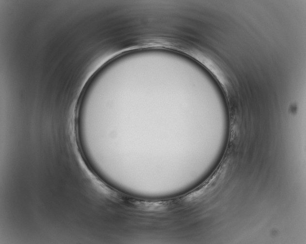 X0000116841047201001081454