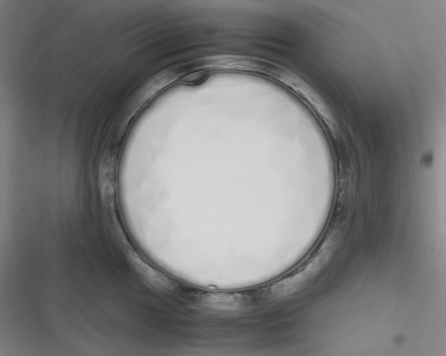 X0000116841049201001081454