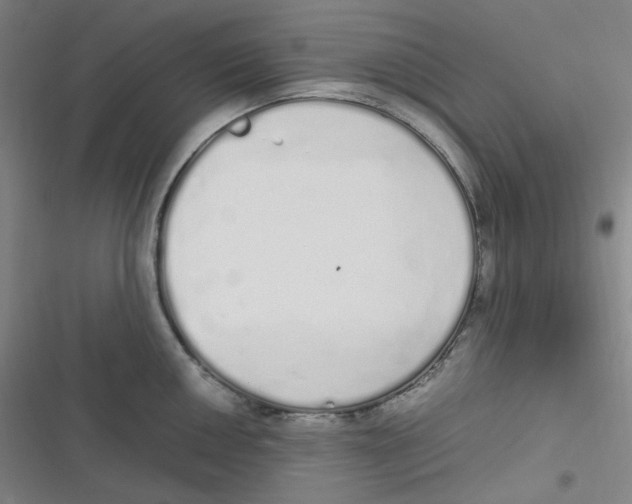 X0000116841050201001081454