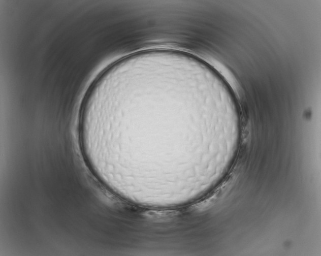 X0000116841051201001081454