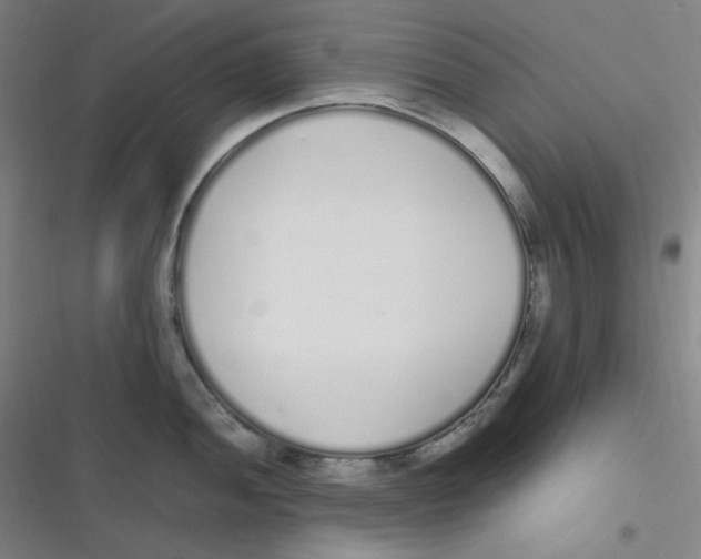 X0000116841052201001081454