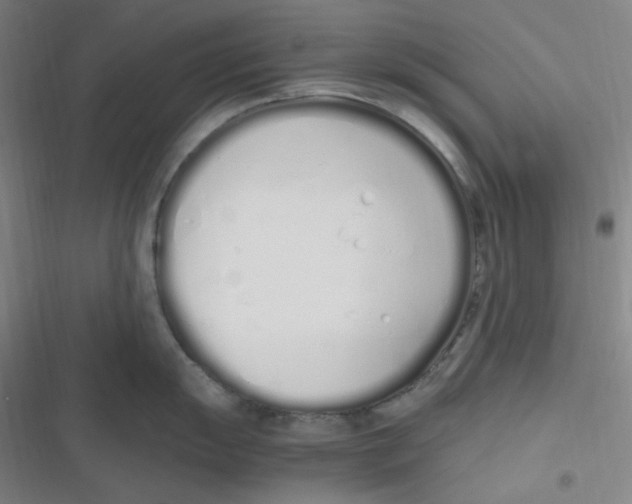 X0000116841055201001081454