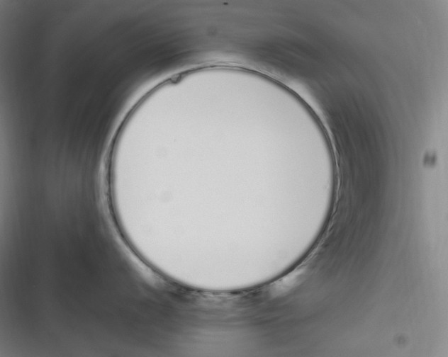 X0000116841056201001081454