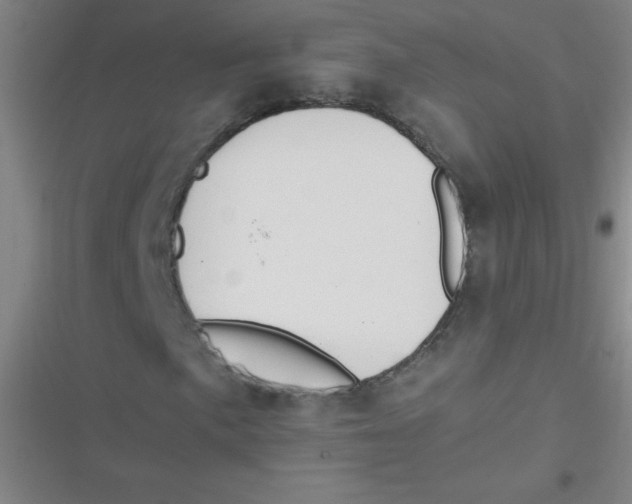 X0000116841057201001081454