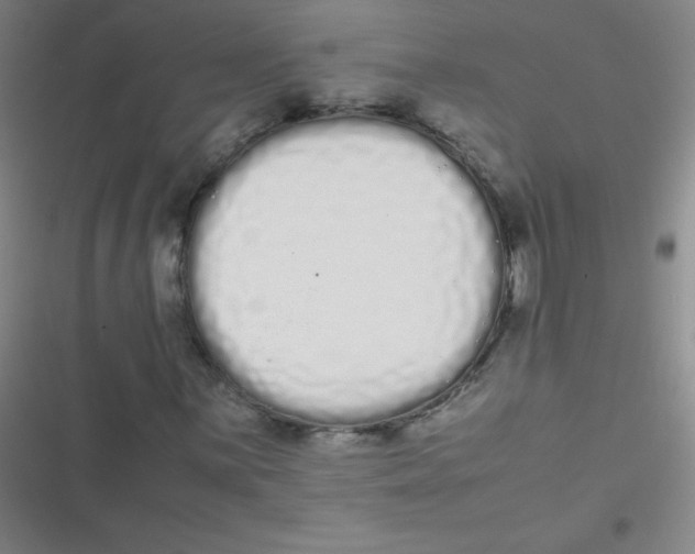 X0000116841059201001081454