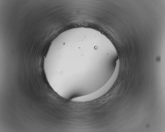 X0000116841060201001081454