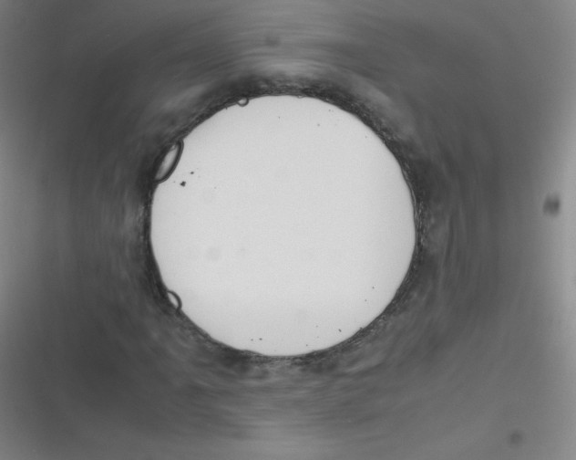 X0000116841061201001081454