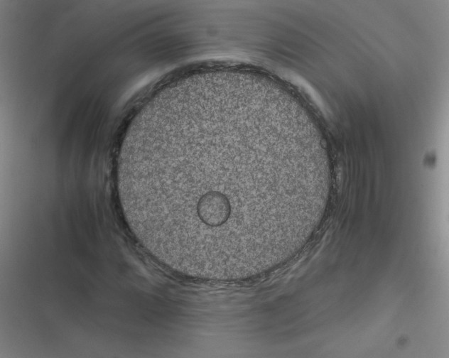 X0000116841064201001081454